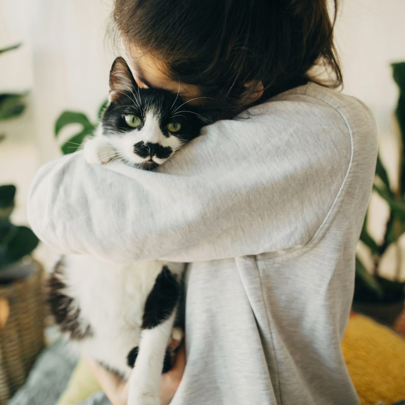 Girl hugging her pet cat with love