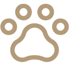 Purpose Driven Work icon