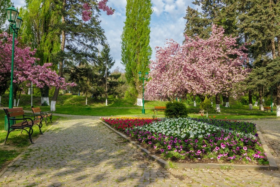 bench on the pavement in park